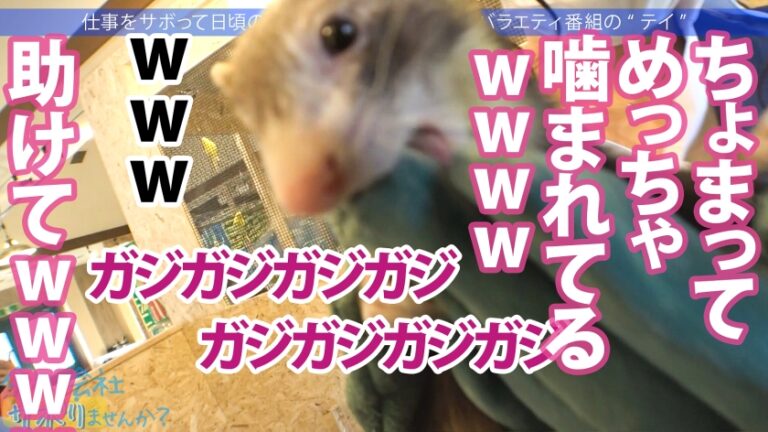 営業部No.1人気の最強モテ女子のサボり旅！優しくて押しに弱く、かわいいと口説きまくりSEX成功★奥まで届く男優の巨チンで挿入後0.5秒で即痙攣イキ！！色んなところに射精しまくる圧倒的ボリューム&シコリティ保証！【童顔×Fカップ巨乳×高身長美脚】：今日、会社サボりませんか？68 in渋谷